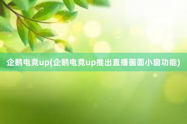 企鹅电竞up(企鹅电竞up推出直播画面小窗功能)