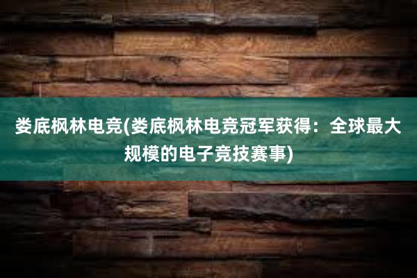 娄底枫林电竞(娄底枫林电竞冠军获得：全球最大规模的电子竞技赛事)