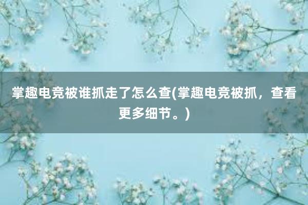 掌趣电竞被谁抓走了怎么查(掌趣电竞被抓，查看更多细节。)