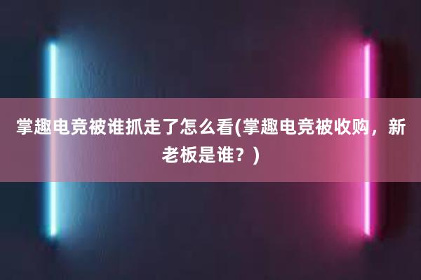 掌趣电竞被谁抓走了怎么看(掌趣电竞被收购，新老板是谁？)