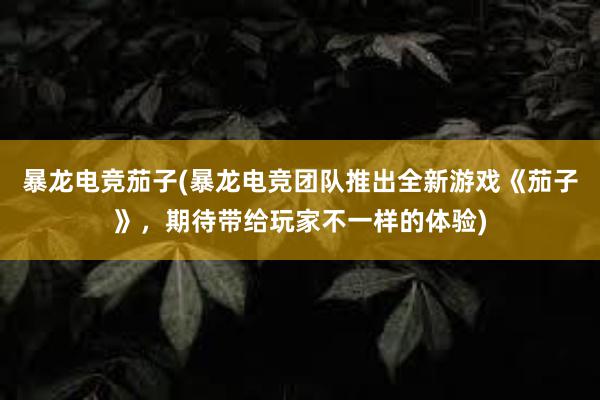 暴龙电竞茄子(暴龙电竞团队推出全新游戏《茄子》，期待带给玩家不一样的体验)