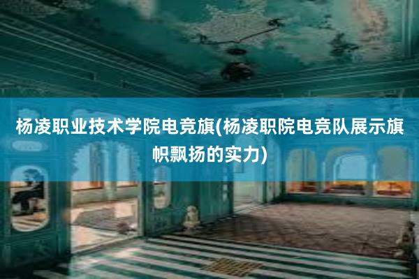 杨凌职业技术学院电竞旗(杨凌职院电竞队展示旗帜飘扬的实力)