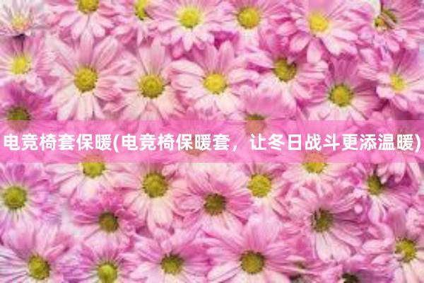 电竞椅套保暖(电竞椅保暖套，让冬日战斗更添温暖)