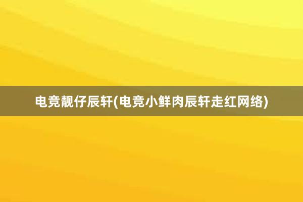 电竞靓仔辰轩(电竞小鲜肉辰轩走红网络)