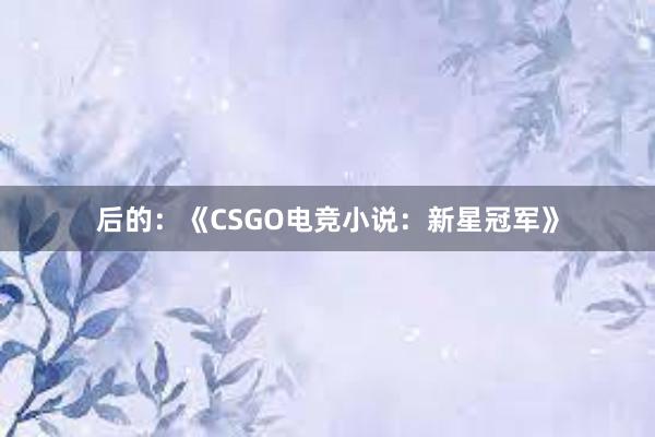 后的：《CSGO电竞小说：新星冠军》