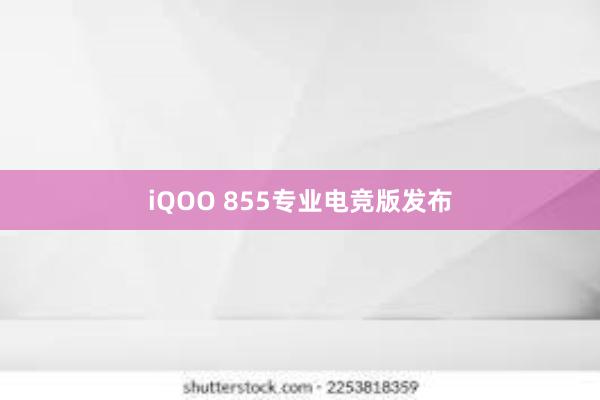 iQOO 855专业电竞版发布