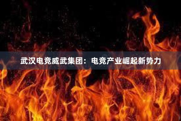 武汉电竞威武集团：电竞产业崛起新势力