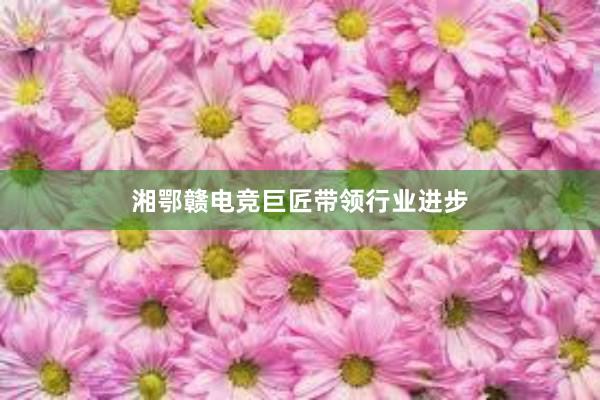 湘鄂赣电竞巨匠带领行业进步