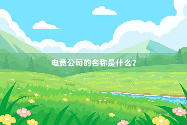 电竞公司的名称是什么？