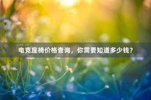 电竞座椅价格查询，你需要知道多少钱？