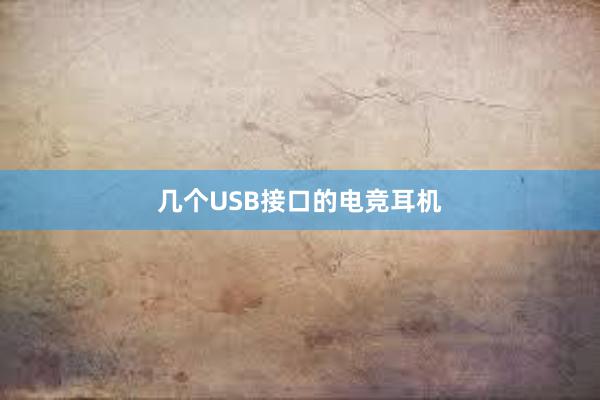 几个USB接口的电竞耳机