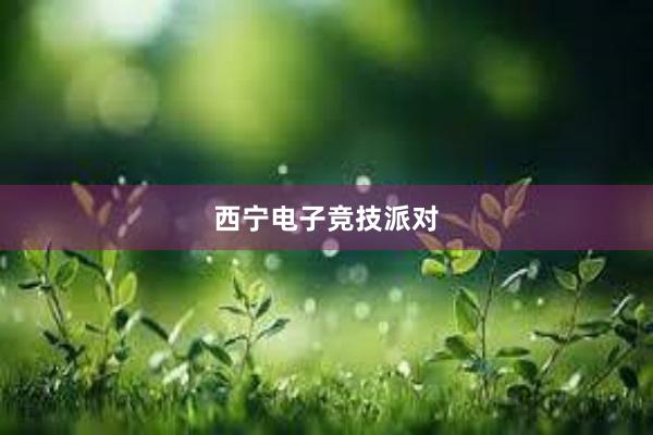 西宁电子竞技派对