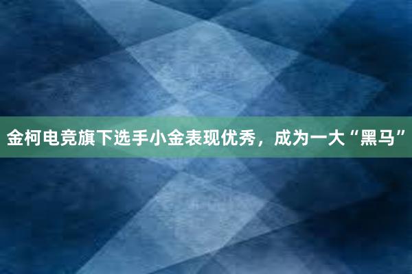 金柯电竞旗下选手小金表现优秀，成为一大“黑马”