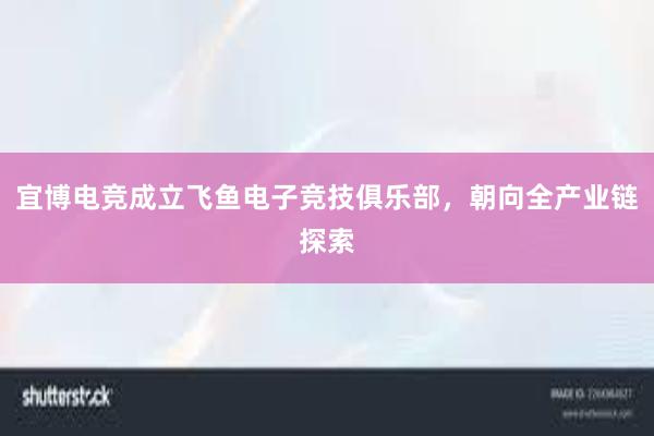 宜博电竞成立飞鱼电子竞技俱乐部，朝向全产业链探索